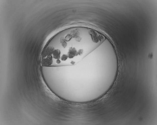 X0000115731522200911121114