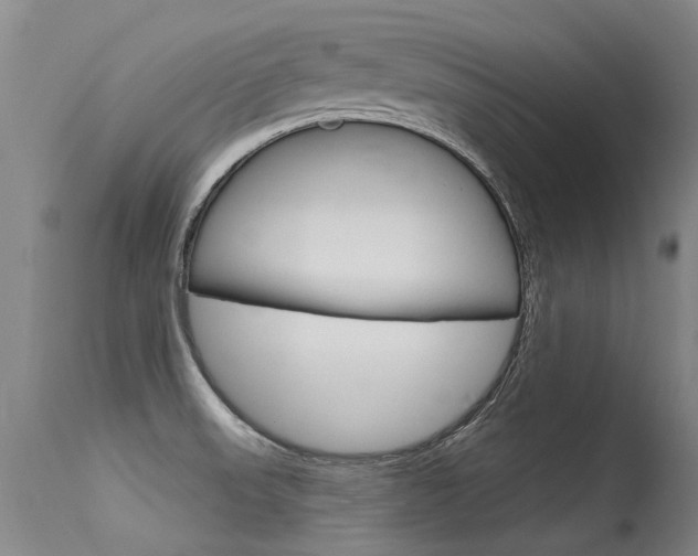 X0000115731523200911121114