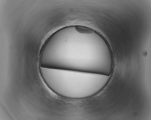 X0000115731525200911121114