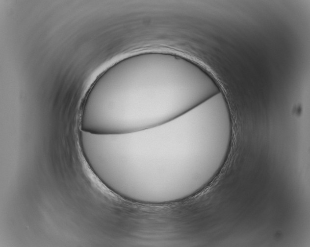 X0000115731526200911121115