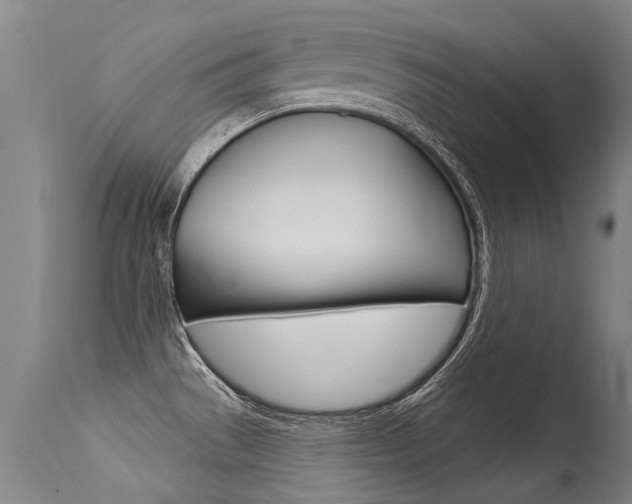 X0000115731529200911121115