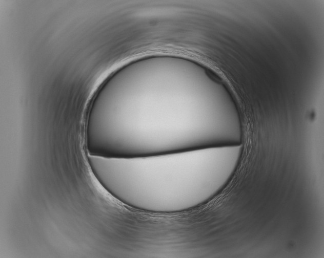 X0000115731531200911121115