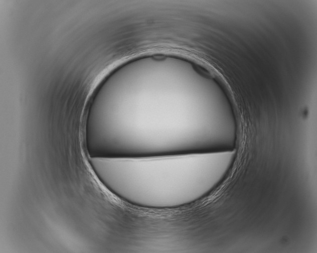 X0000115731533200911121115