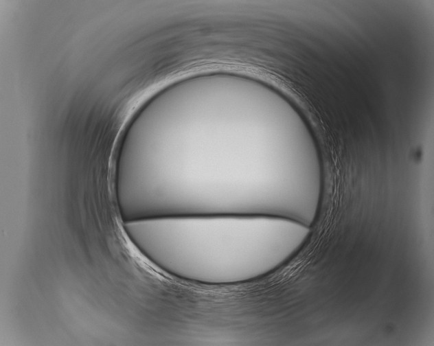 X0000115731535200911121115