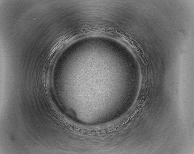 X0000115730002200911121522