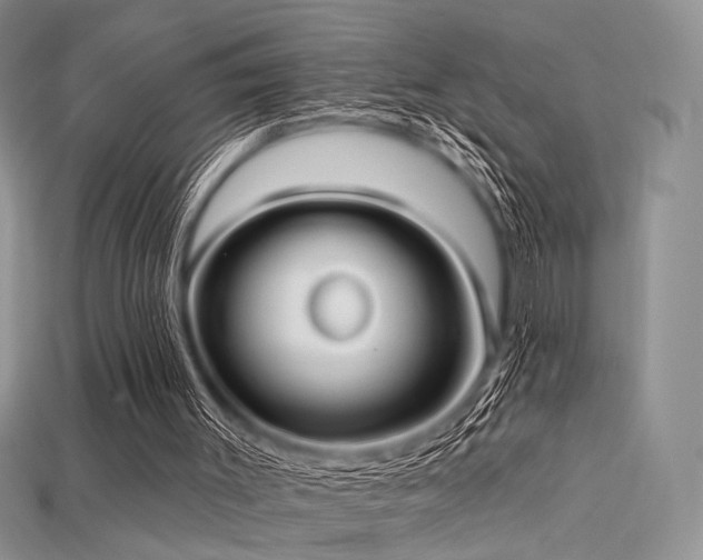 X0000115730003200911121522