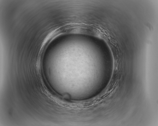 X0000115730004200911121522