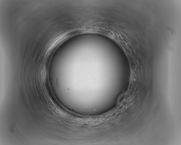 X0000115730005200911121522