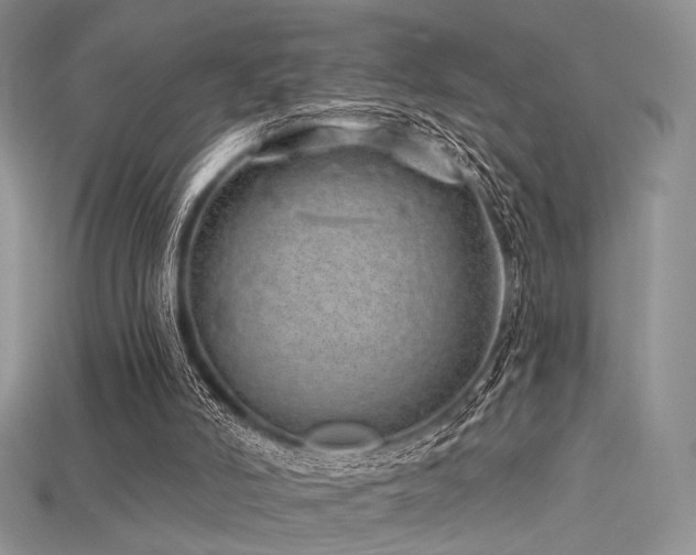 X0000115730006200911121522