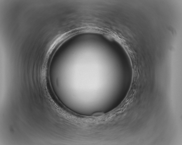 X0000115730007200911121522