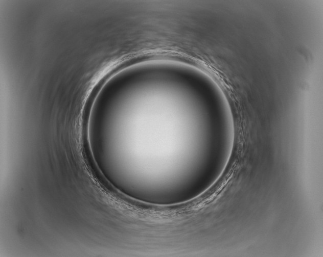 X0000115730008200911121522