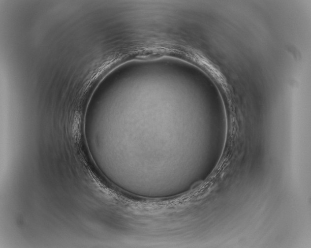 X0000115730009200911121522