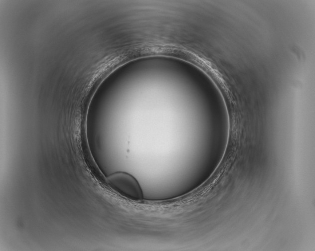 X0000115730010200911121522