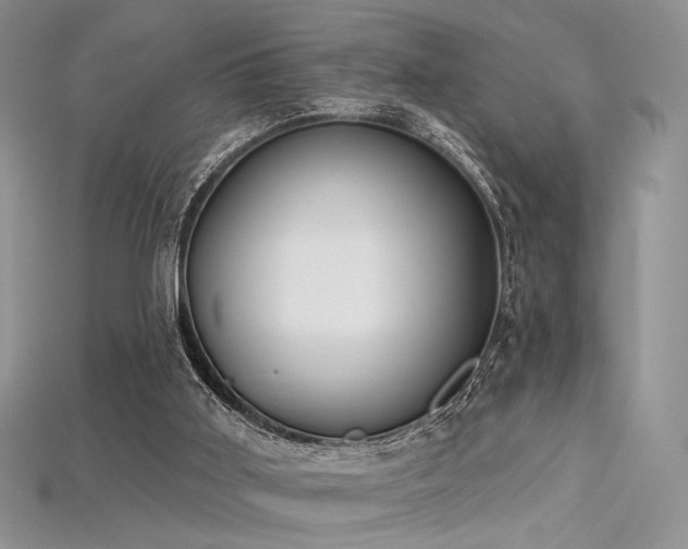 X0000115730011200911121522