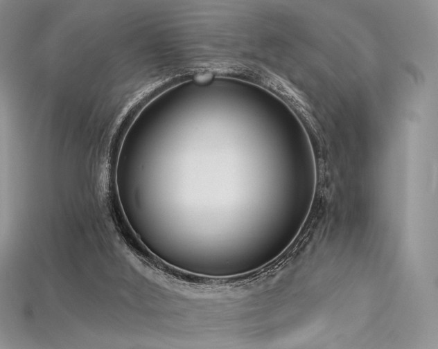 X0000115730012200911121522