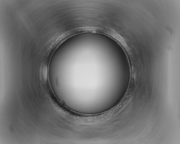 X0000115730013200911121522