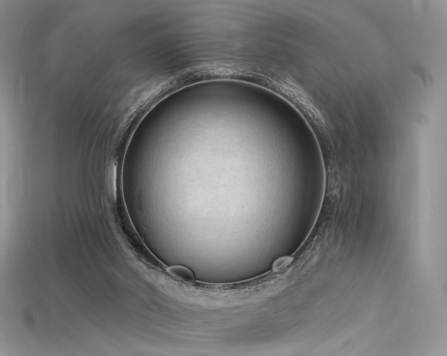 X0000115730014200911121522