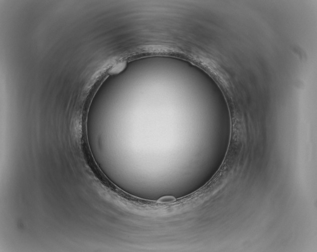 X0000115730015200911121521