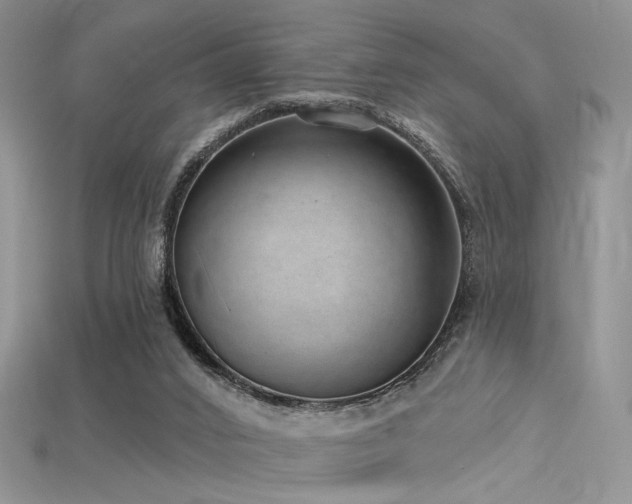 X0000115730016200911121521