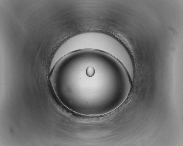 X0000115730017200911121521