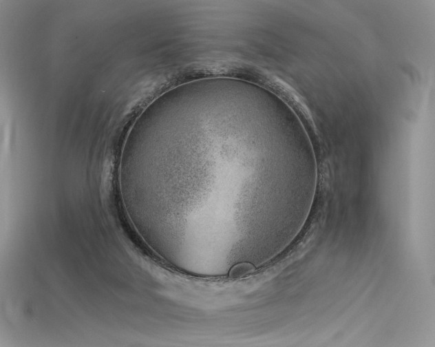 X0000115730018200911121521