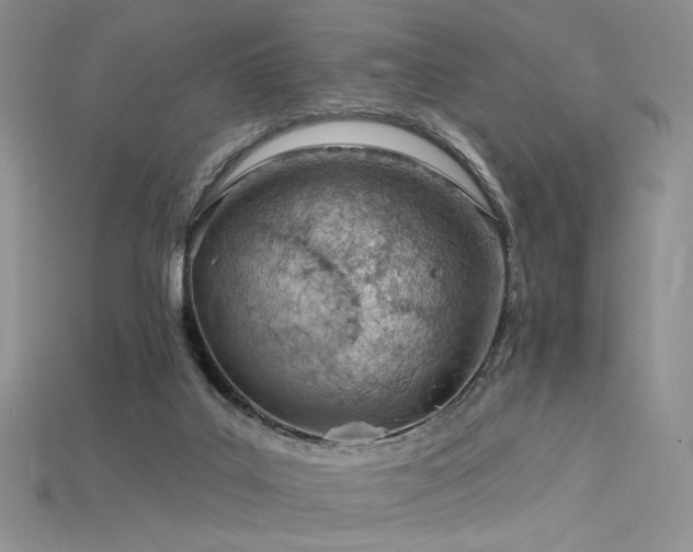 X0000115730019200911121521