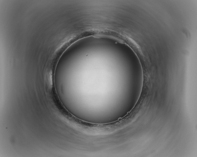 X0000115730020200911121521