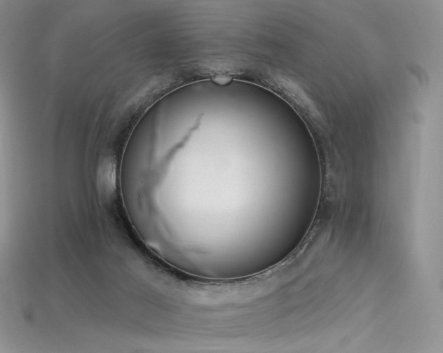 X0000115730021200911121521