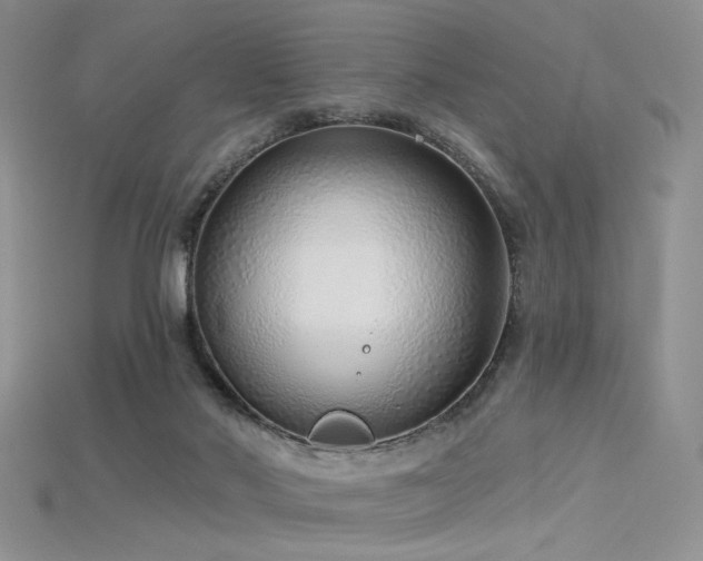 X0000115730022200911121521