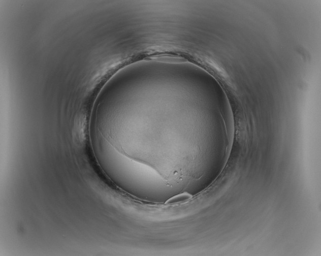 X0000115730023200911121521