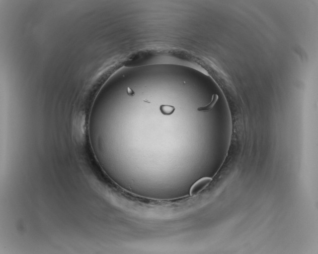 X0000115730024200911121521