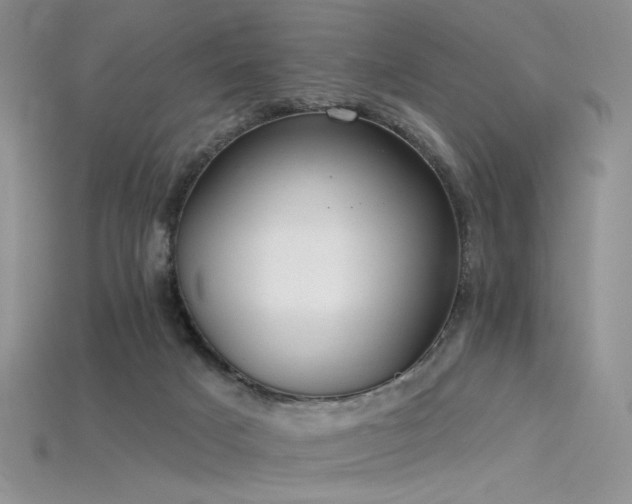 X0000115730025200911121521