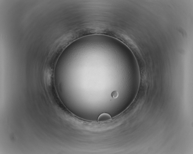 X0000115730026200911121521