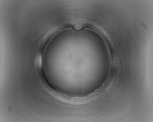 X0000115730027200911121521