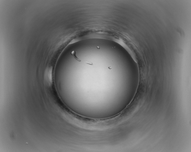 X0000115730028200911121521