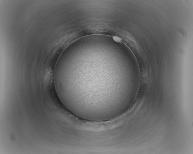 X0000115730029200911121521