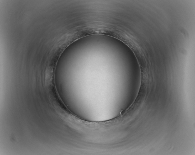 X0000115730030200911121521