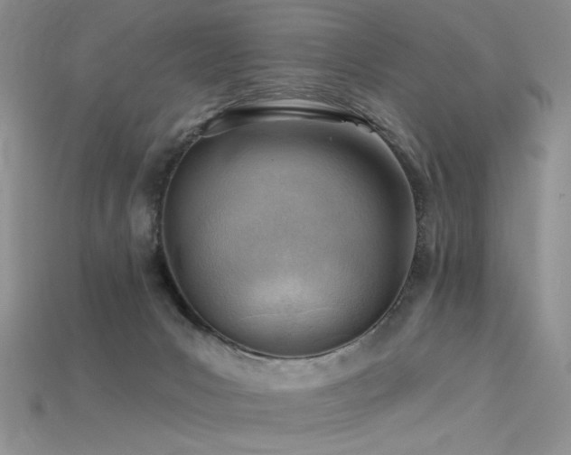 X0000115730031200911121521