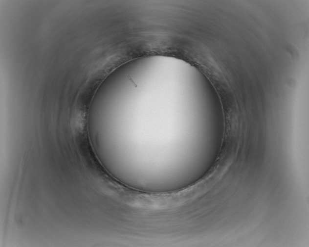 X0000115730033200911121521