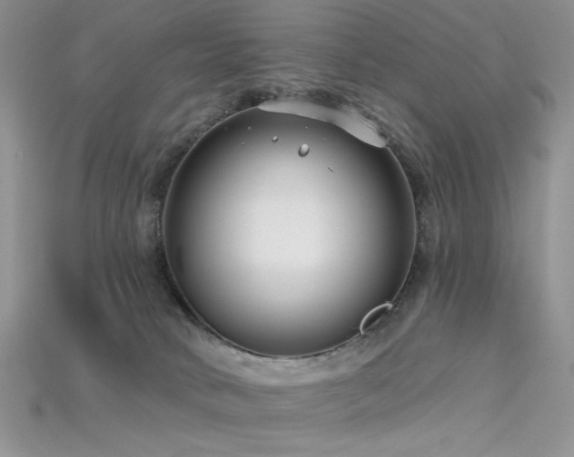 X0000115730034200911121521