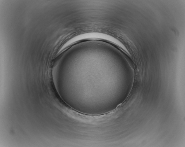 X0000115730035200911121521