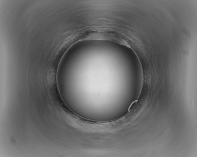 X0000115730036200911121521