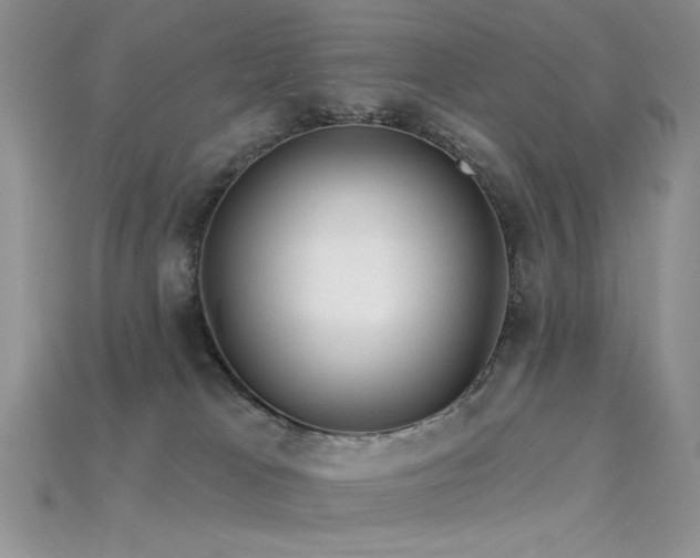 X0000115730037200911121521