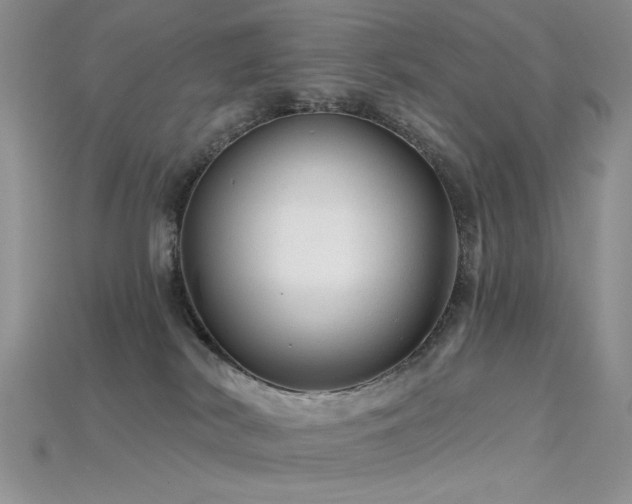 X0000115730038200911121521