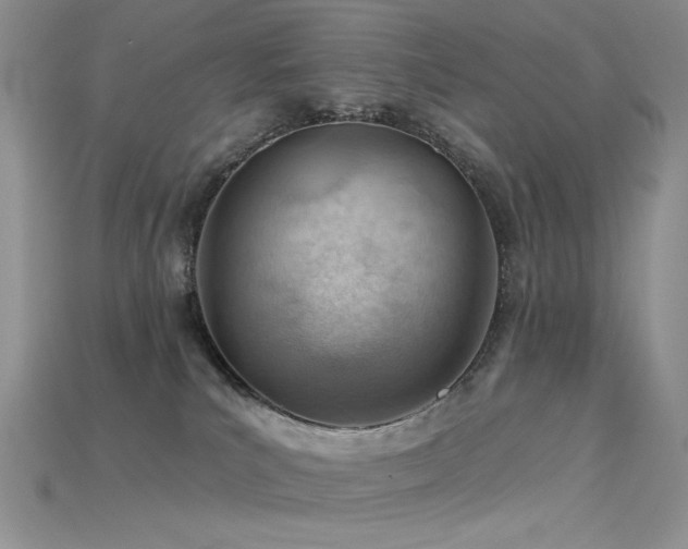 X0000115730039200911121521