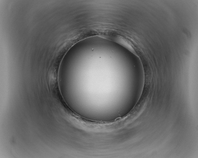 X0000115730040200911121521