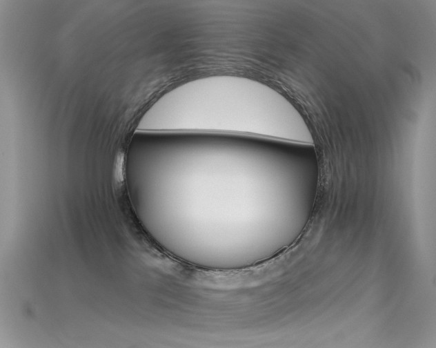 X0000115730041200911121521