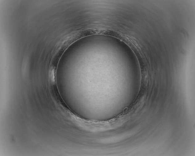 X0000115730042200911121521