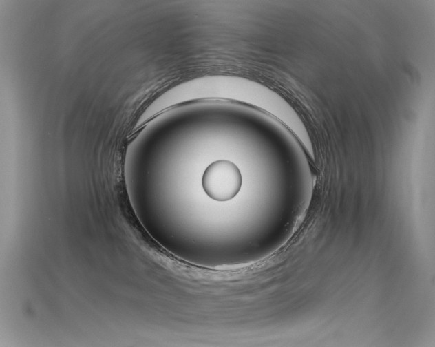 X0000115730043200911121521