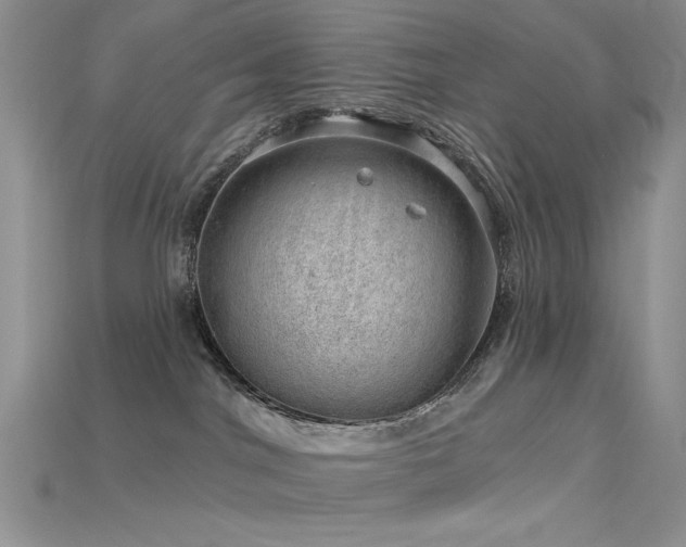 X0000115730044200911121521